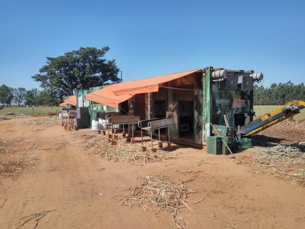 Presidente da Asforama e Coperama e outras autoridades fazem visita em empresa de mudas de cana pré brotadas.