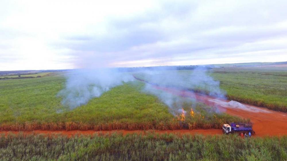 Usina de MS é multada em R$ 495 mil por atear fogo em lavoura de cana sem autorização