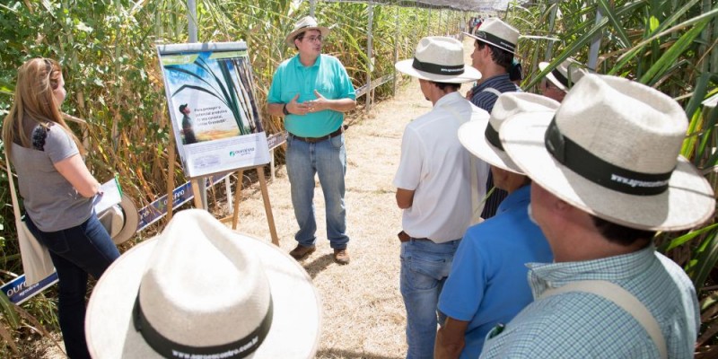 O espetáculo da MPB na Agrishow 2017