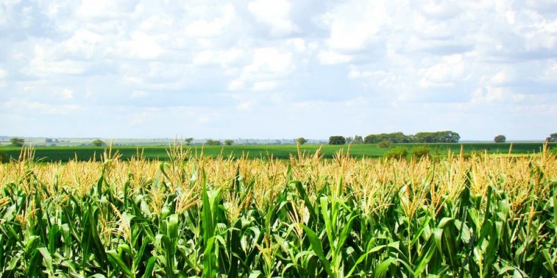 Novo ciclo econômico para Mato Grosso