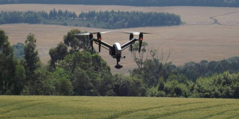 Pequenos agricultores adotam drones contra pragas