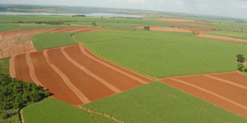 Vai faltar cana em 2020/2021