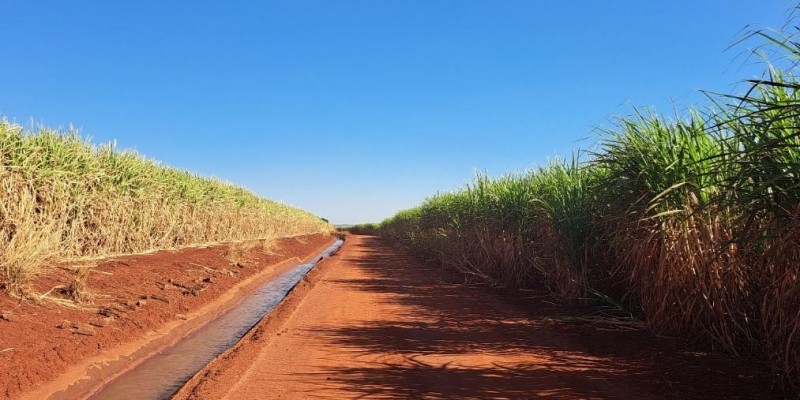 Os efeitos da irrigação no cenário canavieiro para a safra 2024/2025