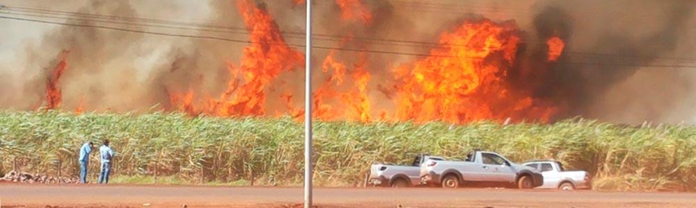 Produtores Rurais, Usinas e a ABAG/RP ampliam a Campanha contra os incêndios no campo em 2016