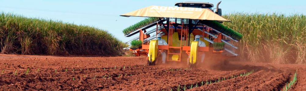 Basf lança, nesta terça-feira, plantadora de MPB AgMusa de uma linha