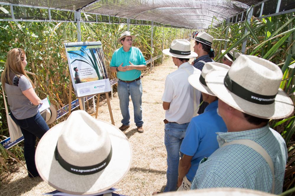 O espetáculo da MPB na Agrishow 2017