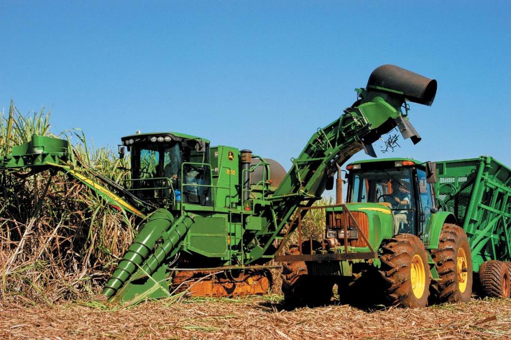 Produtores adiam colheita da cana-de-açúcar na tentativa de aumentar a produtividade