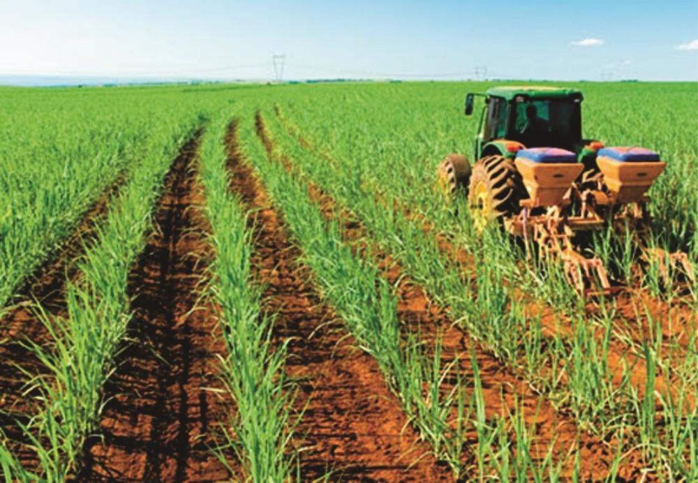 Em Mato Grosso do Sul, plantio de cana com máquina entrega a mesma qualidade que plantio manual