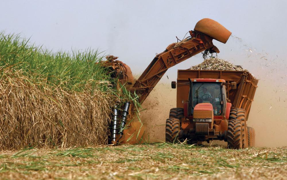 Produção de cana deve crescer 1,5% em Minas Gerais