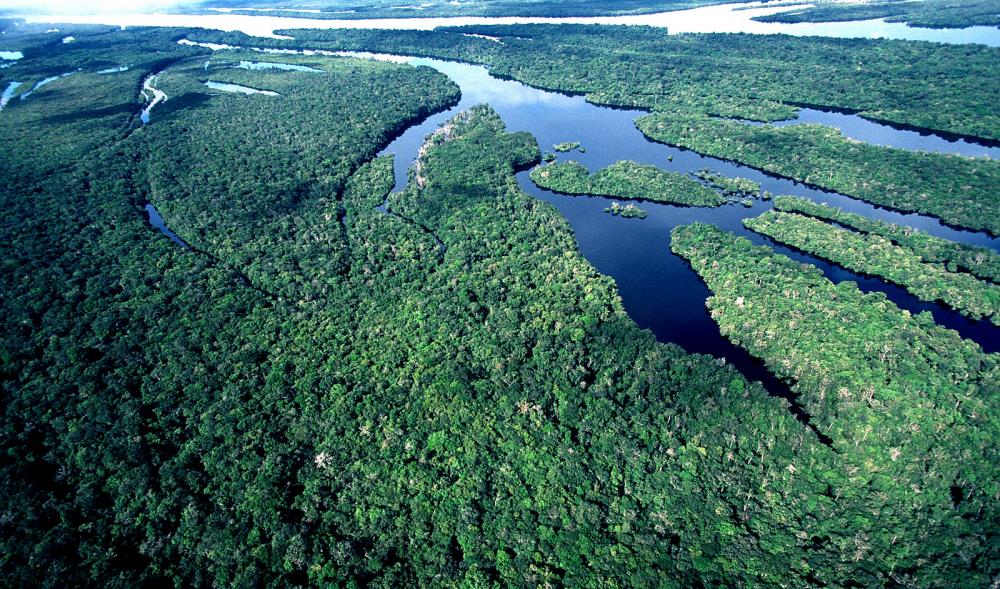 O setor sucroenergético é contra o plantio de cana na Amazônia