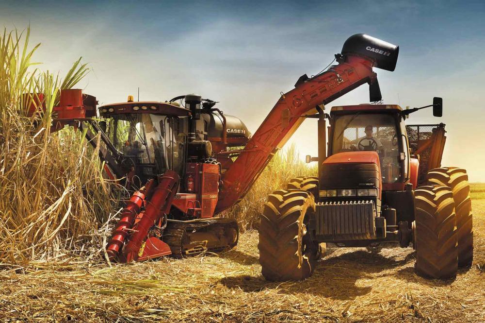 NO AGRO, ATIVIDADE CANAVIEIRA TEM O MAIOR ÍNDICE DE FORMALIZAÇÃO E O MENOR DE TRABALHO INFANTIL