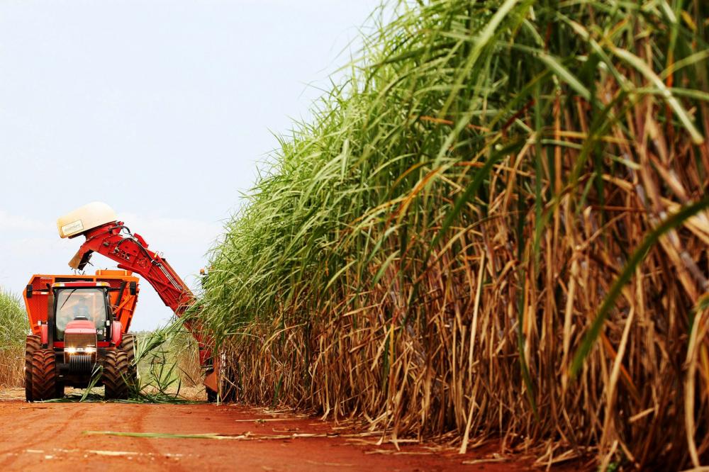 CBios abre novo mercado para agroindústria da cana