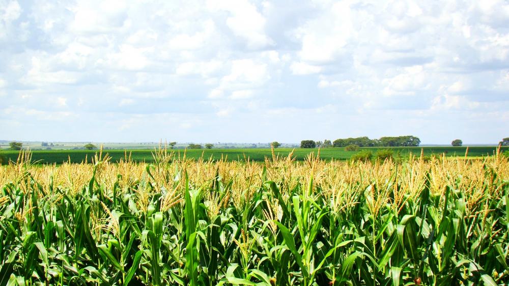 Novo ciclo econômico para Mato Grosso