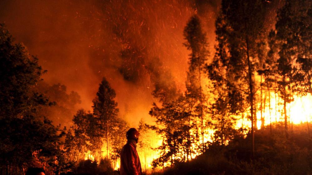 90% dos incêndios florestais são causados pelo ser humano