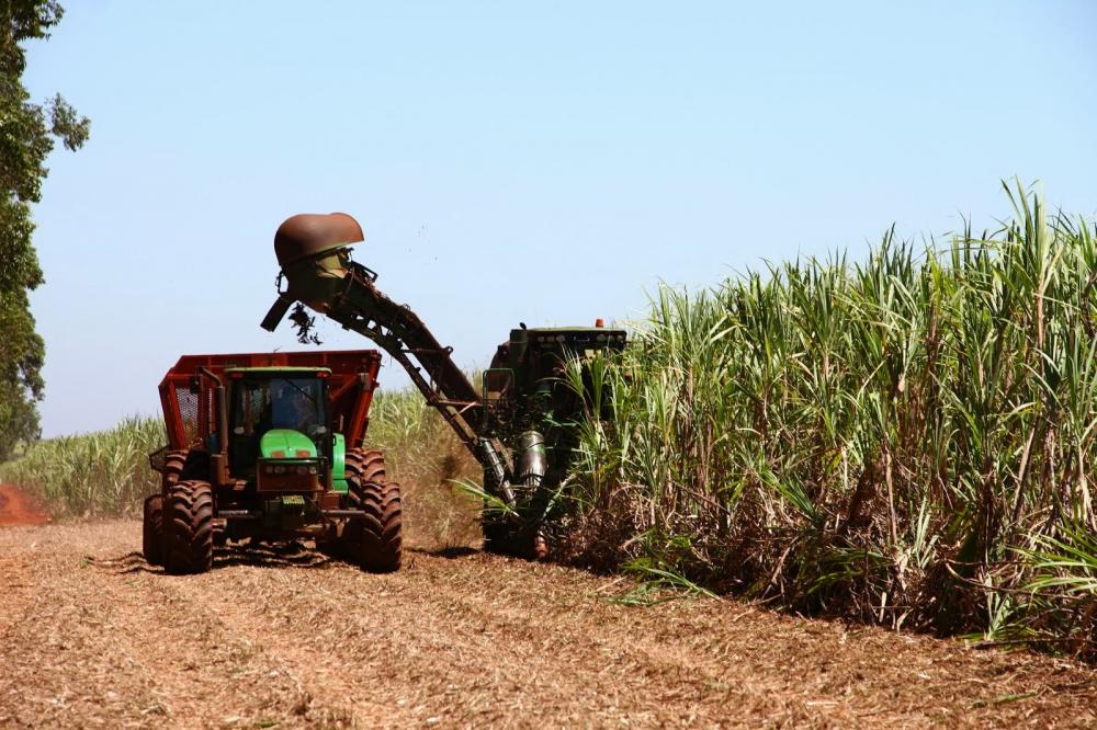 Estiagem deve antecipar encerramento da colheita de cana pelas usinas