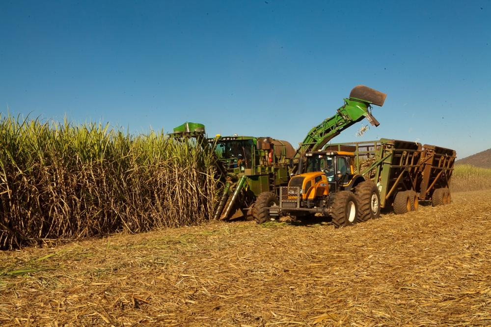 Setor de cana do Brasil encolhe com dificuldades financeiras, apontam bancos