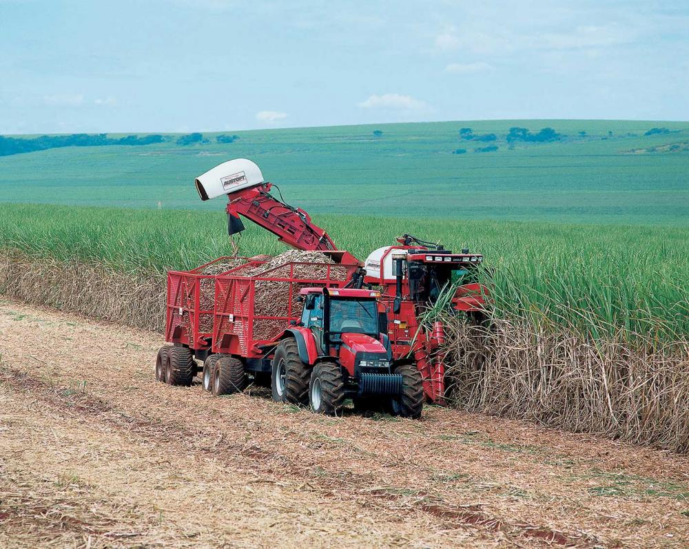 Em fim de gestão, BNDES aprova R$ 62,9 mi em cogeração para usina paulista