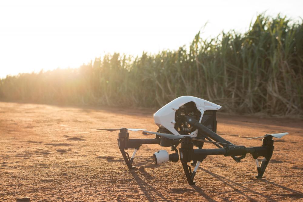 Na Usina Açucareira Guaíra, drones identificam falhas de plantio e agilizam tomada de decisão