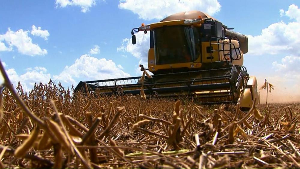 Roberto Rodrigues, ex-Ministro da Agricultura, figura como um dos pioneiros na rotação de cana-de-açúcar com soja