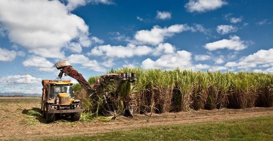 Projeto Brazil Sugarcane promove ação internacional em El Salvador