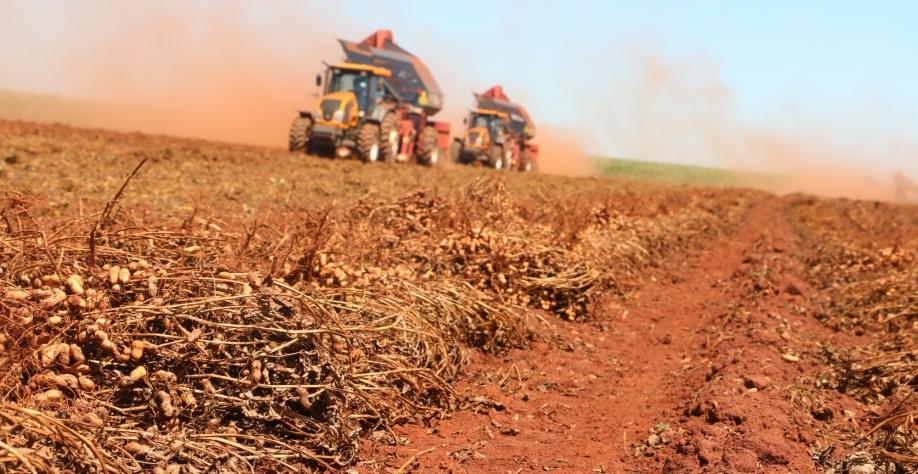 Jaboticabal avança nos preparativos da Feira Nacional do Amendoim