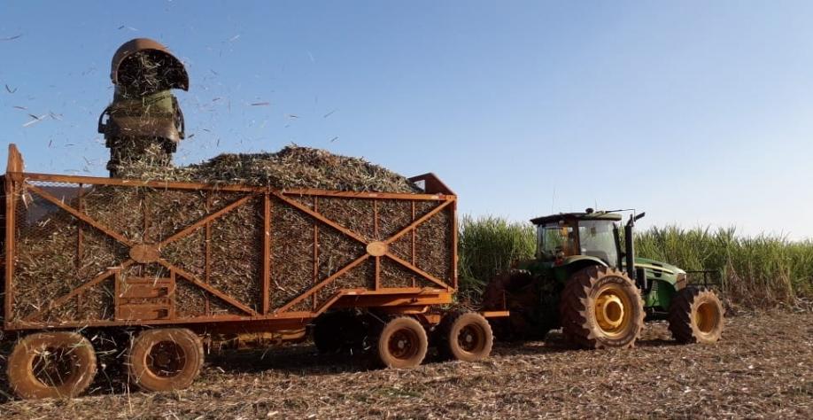 Pequeno produtor tem cana de 7º corte produzindo 87 toneladas por hectare