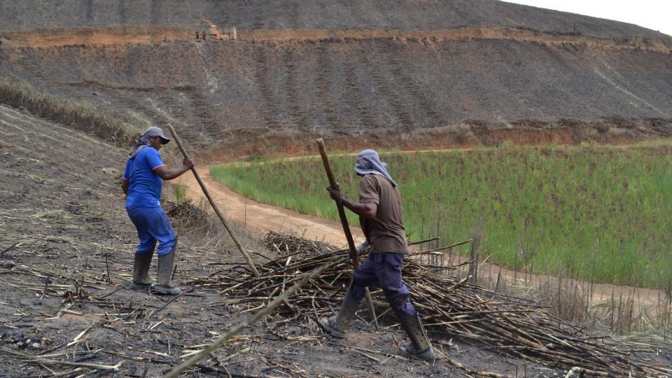 Safra 2019/20 em Alagoas está com todas as usinas em funcionamento