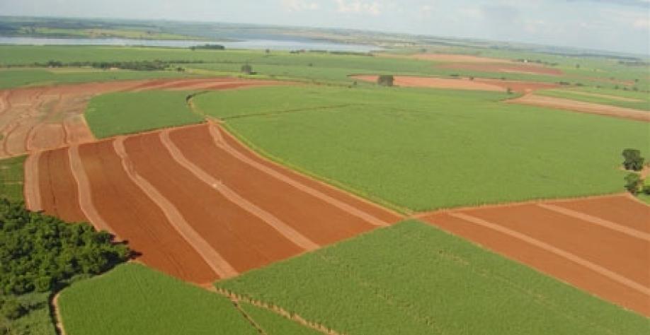 Vai faltar cana em 2020/2021