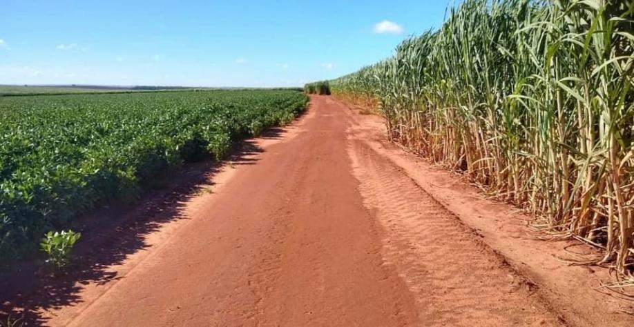 Integração cana e soja em Mato Grosso do Sul maximiza a renda dos produtores