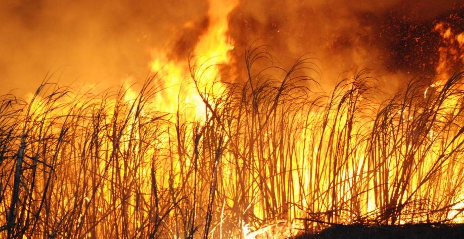 Clima mais seco acende o alerta de incêndios nos canaviais