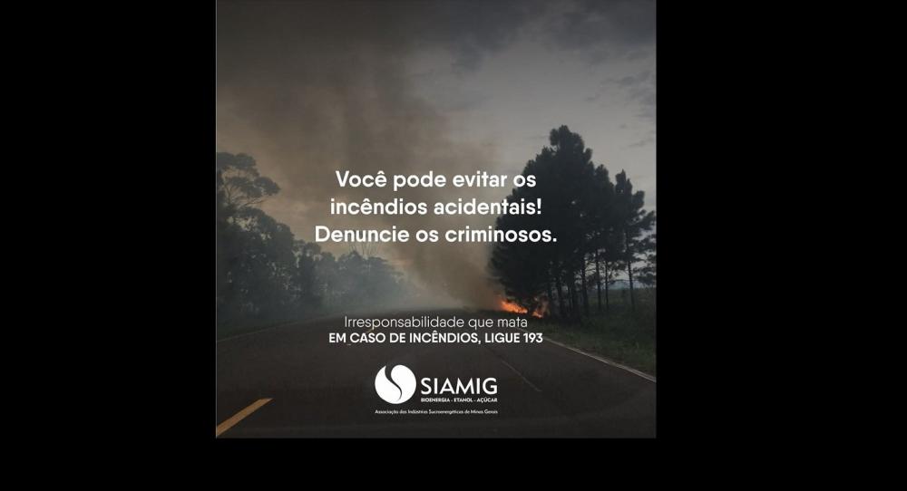 Voce pode evitar os incêndios acidentais! Denuncie os criminosos.