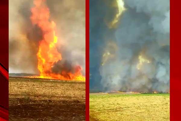 Limeira do Oeste: Incêndio destrói cerca de mil hectares e faz uma vítima fatal