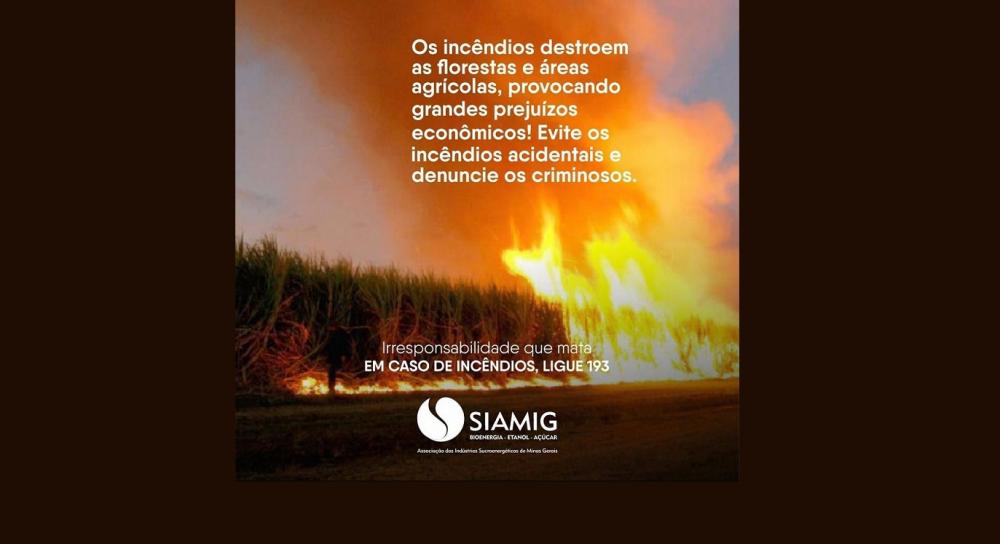 Os incêndios destroem as florestas e áreas agrícolas, provocando grandes prejuízos econômicos!