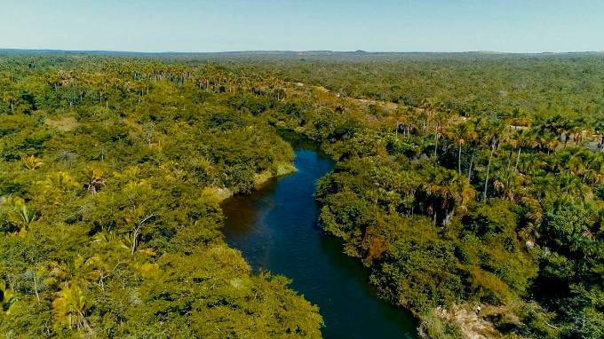 Usina Coruripe reforça compromisso com a sustentabilidade e veicula vídeo sobre reservas ambientais em Alagoas e Minas Gerais