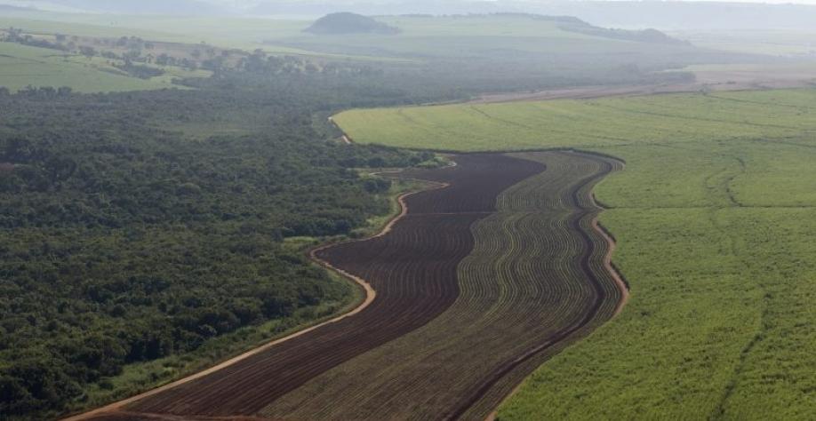 Copersucar é protagonista da economia de baixo carbono