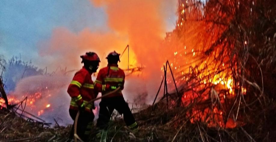 Incêndios se alastram pelo interior paulista e brigadas de incêndios das usinas trabalham exaustivamente