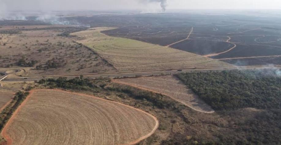 Safra canavieira 2021/22 do Centro-Sul terá cerca de 100 milhões de toneladas a menos que o ciclo anterior