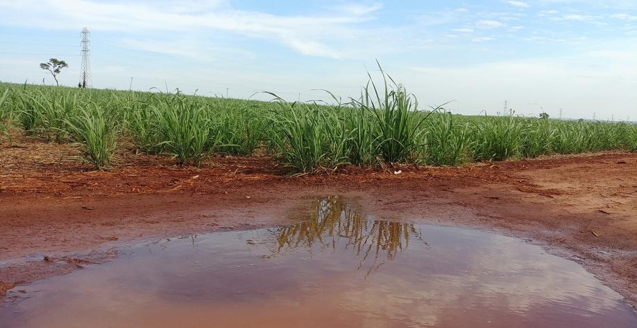 Começamos 2022 com boas notícias para o setor sucroenergético