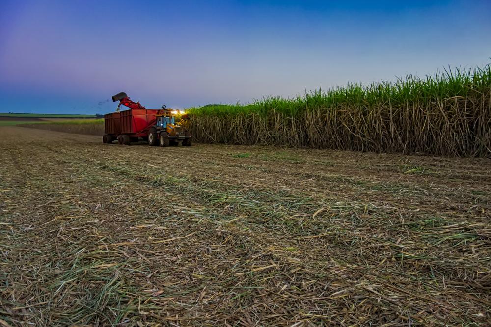 Setor sucroenergético melhora desempenho entre 26 setores da economia em 2020