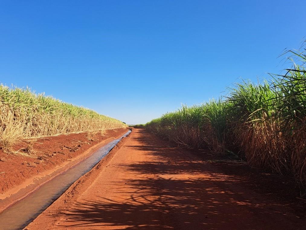 Os efeitos da irrigação no cenário canavieiro para a safra 2024/2025